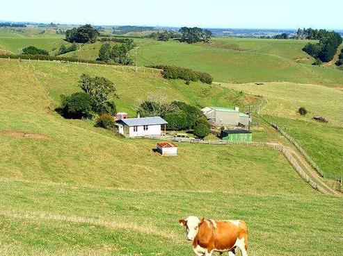 638 Kaipikari Road Upper, Urenui