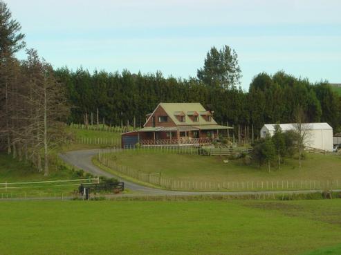 1502 Morrinsville-walton Road, Richmond Downs