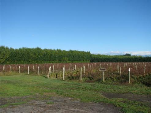 12 River Road, Appleby