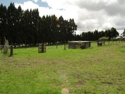 2453A State Highway 10, Kerikeri Surrounds