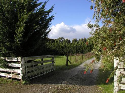 122 Turvey Road, Mangonui