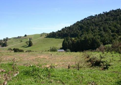 62 Te Miro Road, Te Miro
