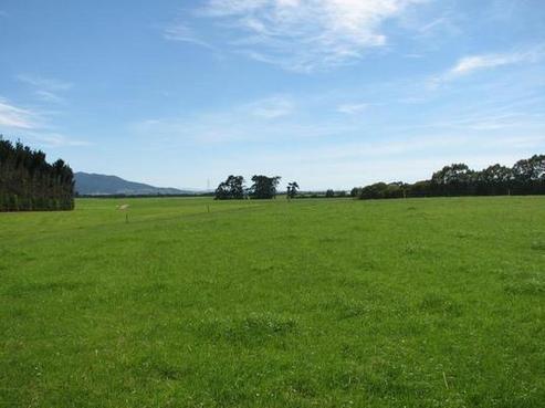 549 Glendhu Road, Gore Surrounds