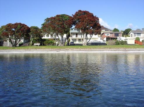25 Dalton Road, Snells Beach