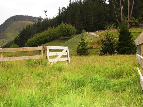 462 Wright Road, Matakana