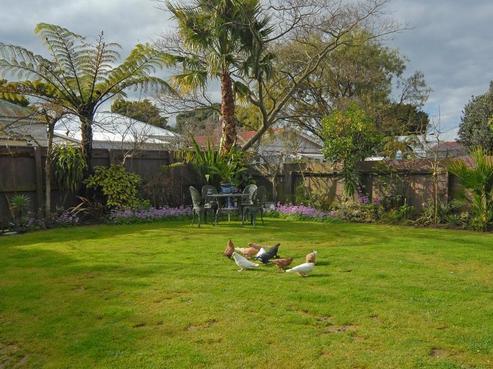7A Carnell Street, Napier South