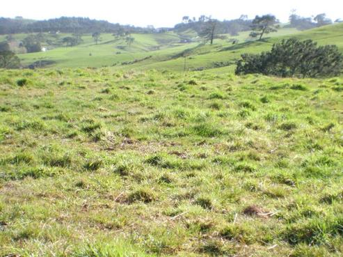 214A Valley Road, Waitoki