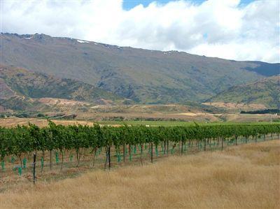31G Gilmore Road, Cromwell