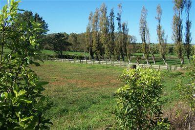 192 Wily Road, Puni