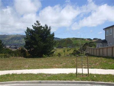 20 Tasman Close, Aotea