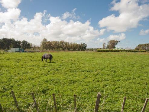 144 Mosston Road, Westmere