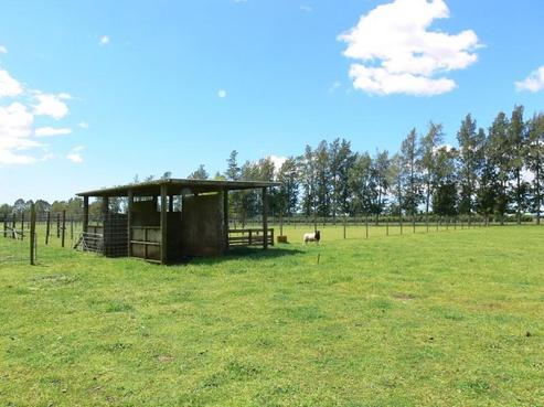53A Ascot Lane, Otakiri