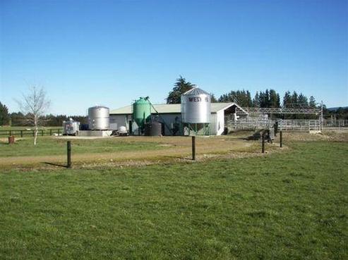 361 Crookston Road, West Otago Surrounds