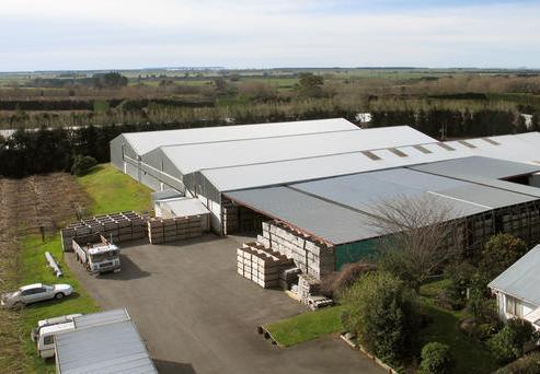 127 Te Matai Road, Te Puke