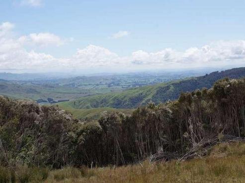817 Putara Road, Eketahuna