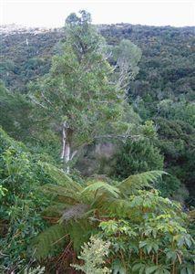 214 Montgomerys Road, Little River