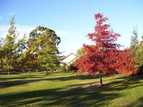 91 Douglas Road, Amberley