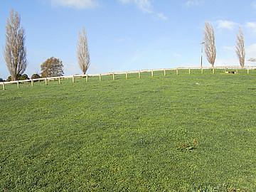 67 Douch Road, Ohaupo