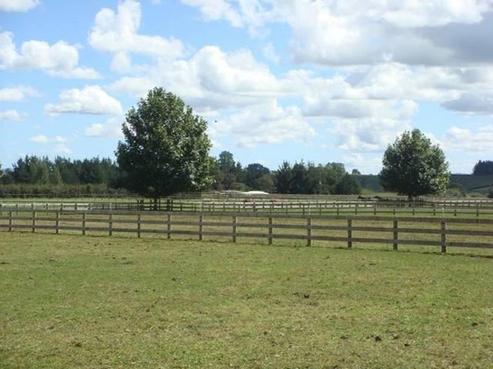 724 Pirongia Road, Pirongia