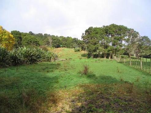 87A Grassmere Road, Henderson Valley