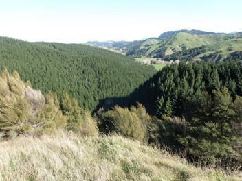 116 Tinui Valley Road, Tinui