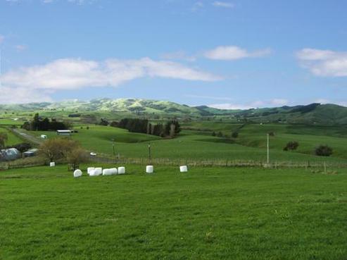 206 Robinson Road, Rotoorangi