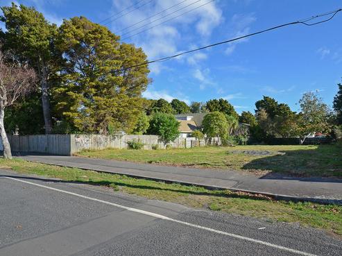 8 Benzie Avenue, Wallaceville