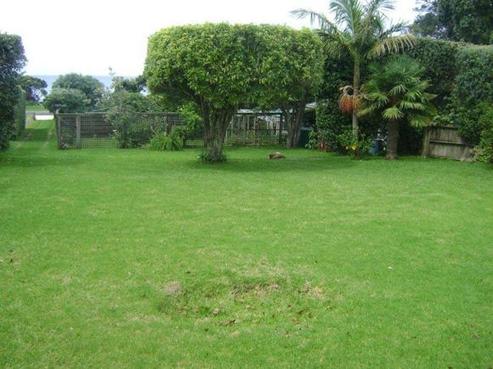 12 Kon Tiki Road, Whiritoa
