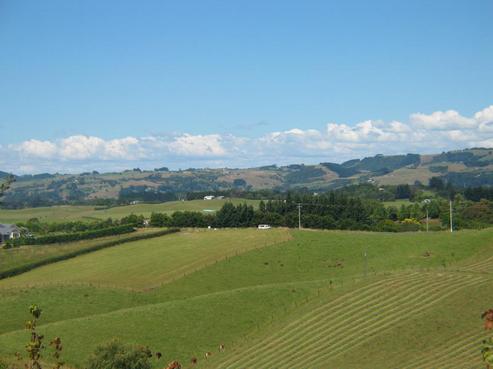 77 Burtt Road, Paerata