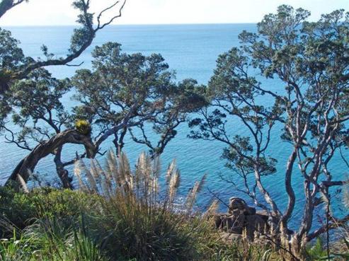 1111B Cove Road, Langs Beach