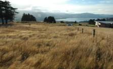 886 Blueskin Road, Mount Cargill