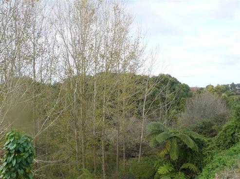 362C Hukanui Road, Rototuna