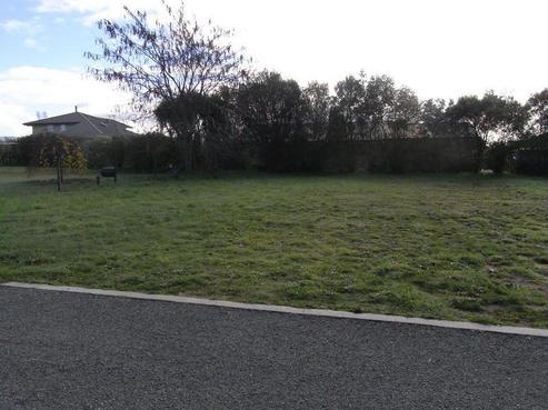 205A Thorp Street, Motueka