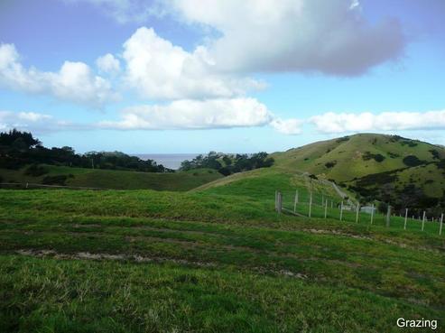 714 Rockell Road, Whananaki