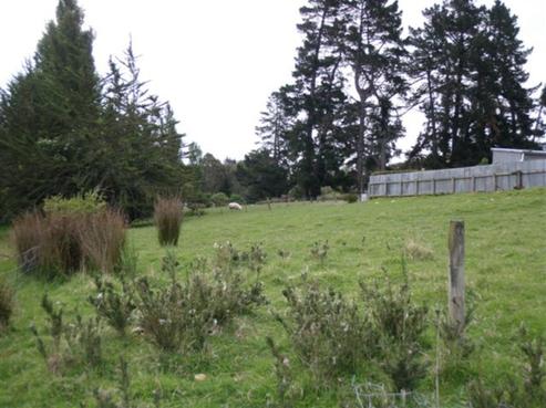19 Derby Street, Tapanui