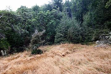 30C Glacial Terrace, St Arnaud