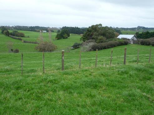197 Kingseat Road, Patumahoe