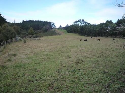 835 Weranui Road, Wainui