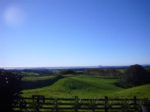 369 Thompsons Track, Aongatete