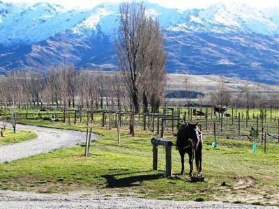 1180 Luggate-cromwell Road, Cromwell