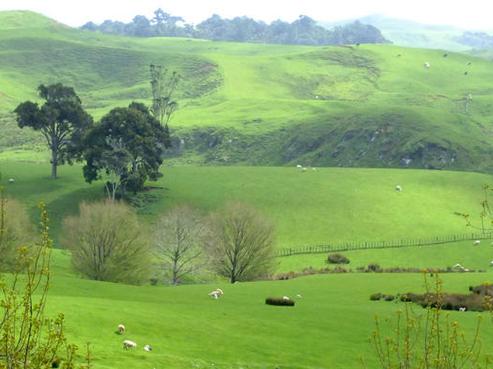 293 Waikaretu Wairamarama Road, Glen Murray