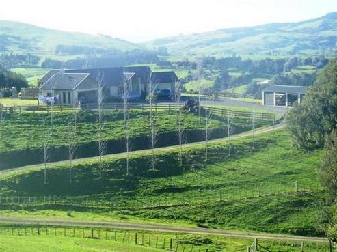273 Te Miro Road, Te Miro