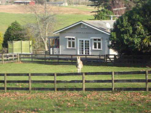 82 Gearon Road, Mauku