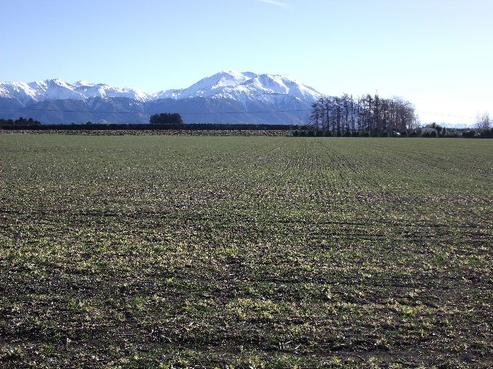 106 Pudding Hill Road, Methven