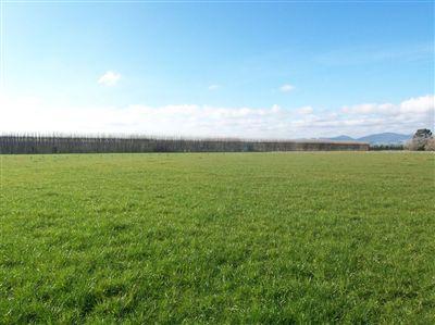 457 Springs Road, Prebbleton