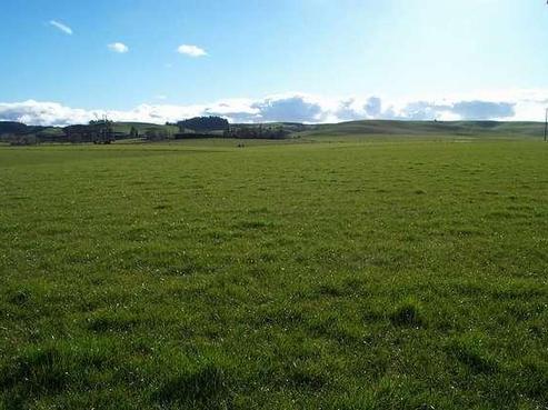306 Glendhu Road, Gore Surrounds