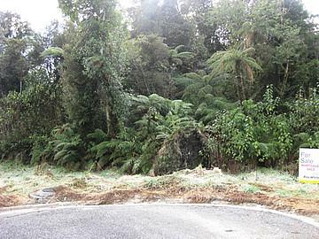7 Middleton Place, Franz Josef Glacier