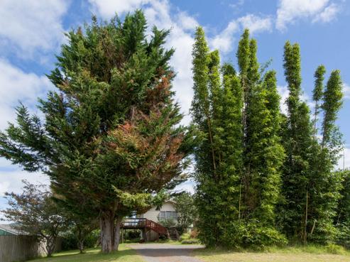 196 William Jones Drive, Otangarei