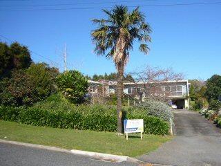 214 Tony Avenue, Thames