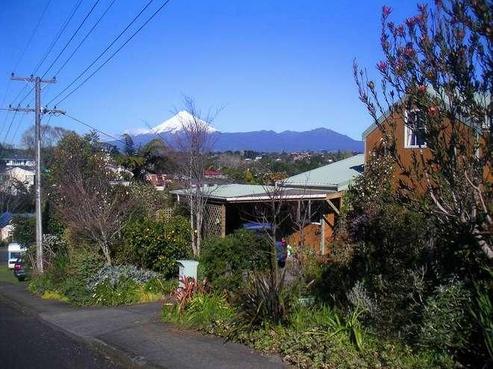 54 Ballance Street, Lower Vogeltown